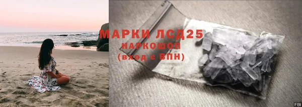 стаф Елизово