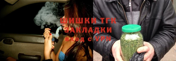 стаф Елизово