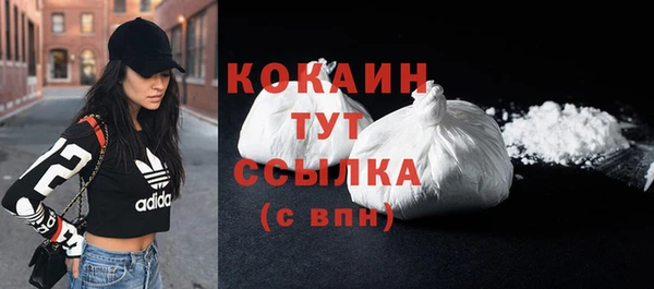 стаф Елизово