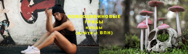 стаф Елизово