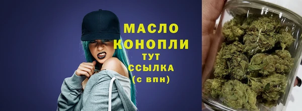 дмт Елабуга