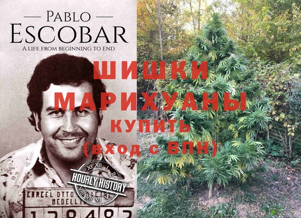 дмт Елабуга