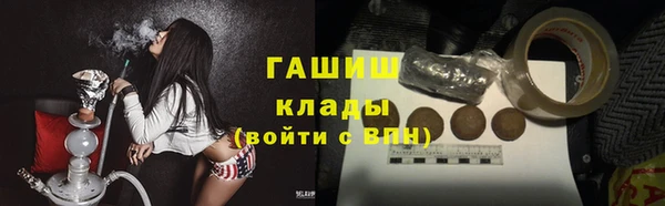 стаф Елизово