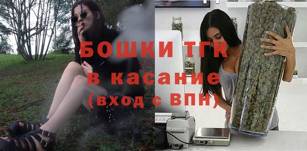 стаф Елизово