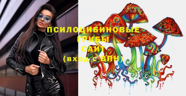 ALPHA PVP Ельня