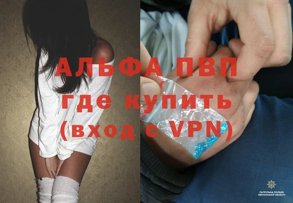 стаф Елизово