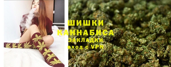 стаф Елизово