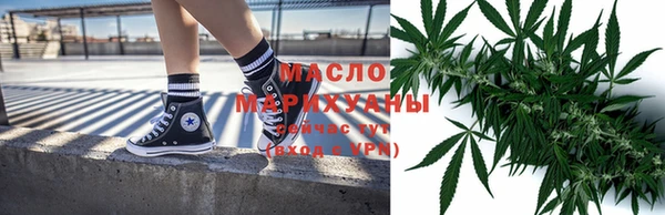 дмт Елабуга