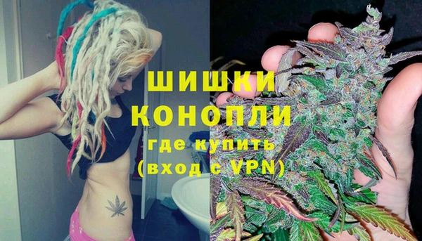 стаф Елизово