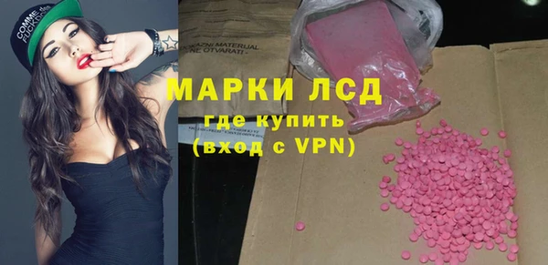 стаф Елизово