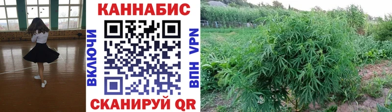 Купить закладки  Краснослободск  Бошки Шишки VHQ 